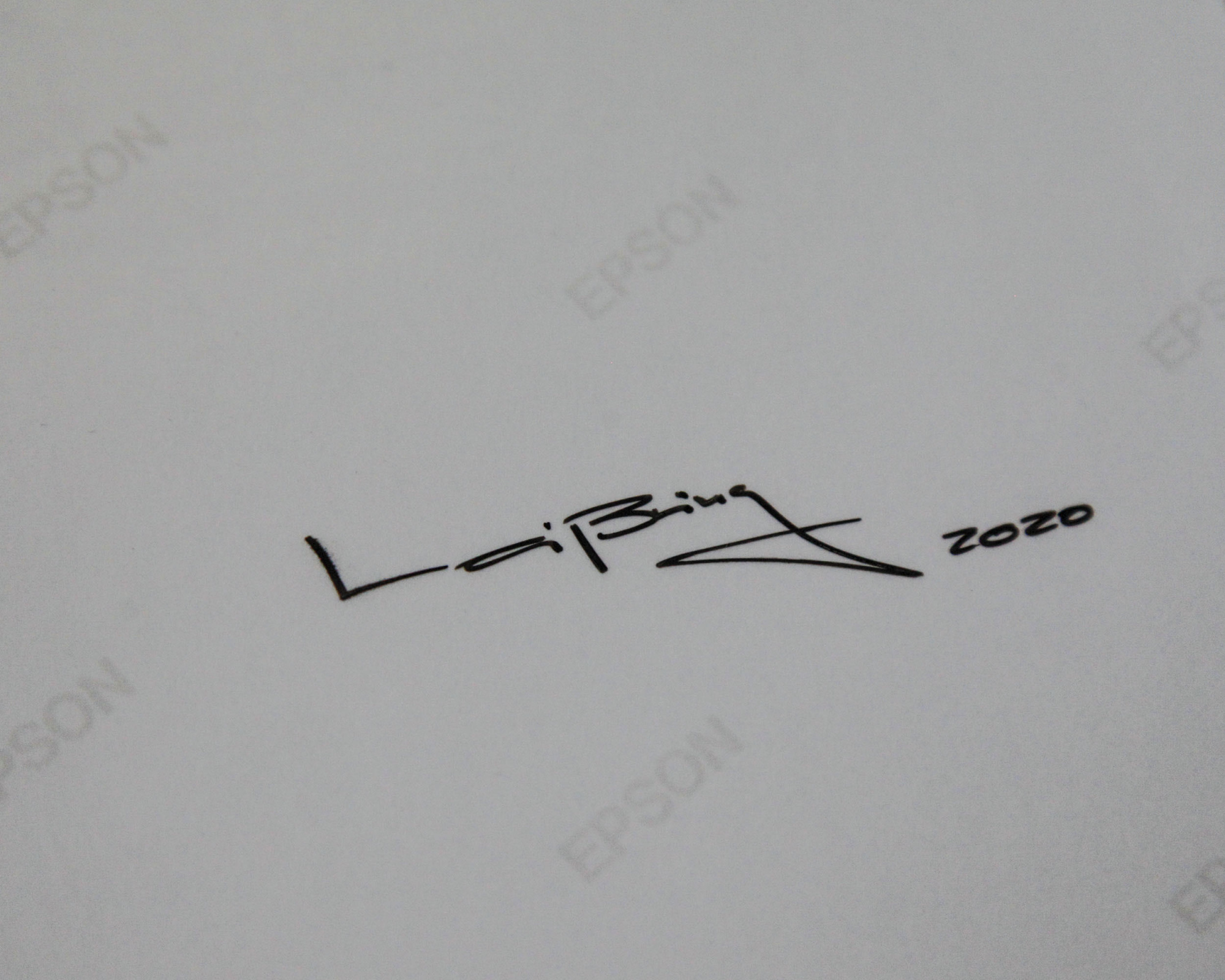 Vanessa Leissring - Combustible Canarios