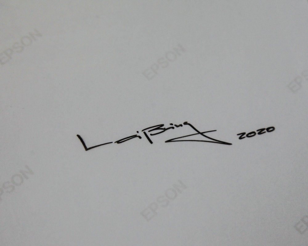 Vanessa Leissring - Combustible Canarios