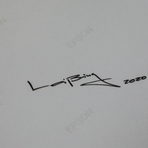 Vanessa Leissring - Combustible Canarios