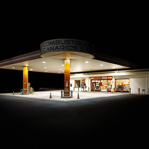 Vanessa Leissring - Combustible Canarios